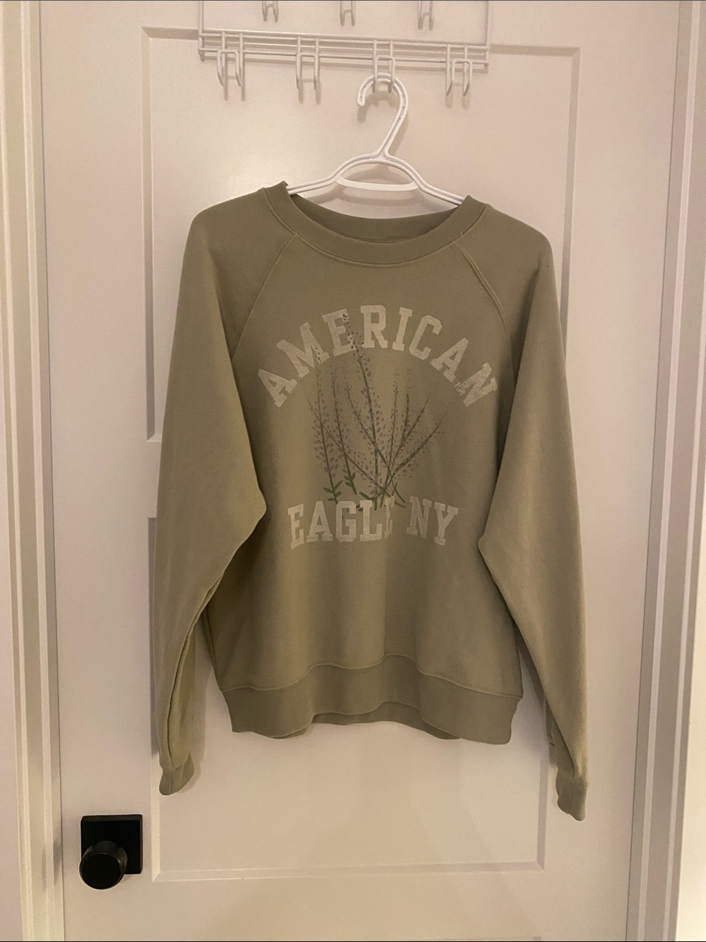 American Eagle Crewneck